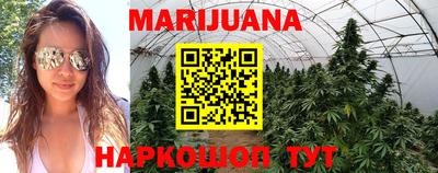 крисы Ипатово