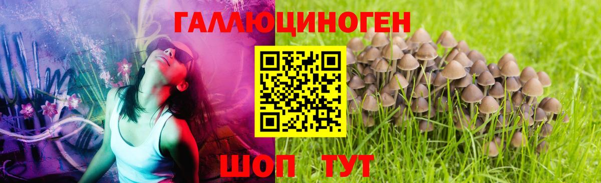 Мирный  Псилоцибиновые грибы Magic Shrooms  Вход с VPN  Галлюциногенные грибы GOLDEN TEACHER 