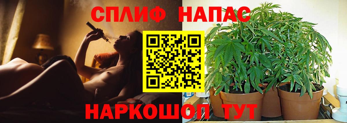Канабис гибрид Мирный
